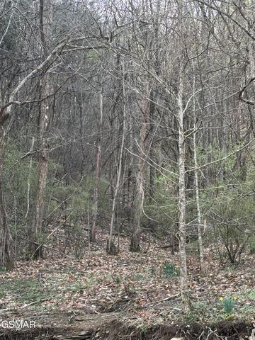 439 CANEY CREEK RD Road, Pigeon Forge, TN 37863
