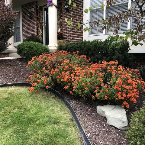 4501 Hickory Grove Court, Ada, MI 49301