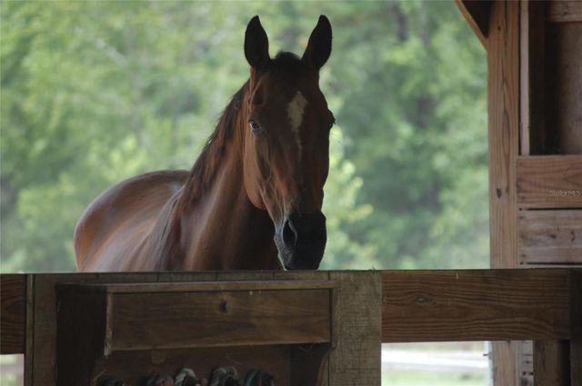 27471 NW 173RD TERRACE, Alachua, FL 32615