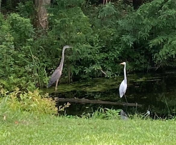 27471 NW 173RD TERRACE, Alachua, FL 32615