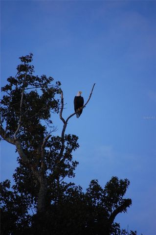 27471 NW 173RD TERRACE, Alachua, FL 32615