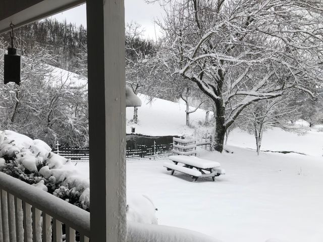 199 Gilmore Ln, Bell Buckle, TN 37020