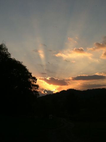 199 Gilmore Ln, Bell Buckle, TN 37020