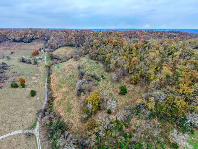 199 Gilmore Ln, Bell Buckle, TN 37020