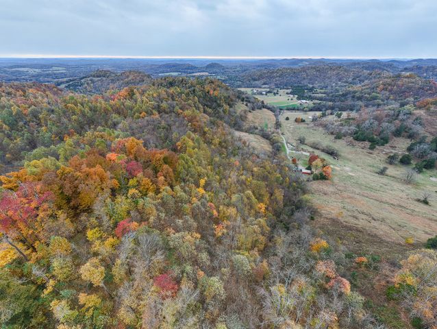 199 Gilmore Ln, Bell Buckle, TN 37020