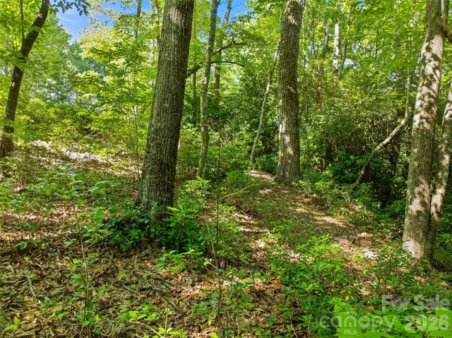 0000 Red Bud Lane 3-F, Laurel Park, NC 28739