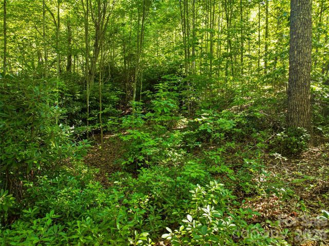 0000 Red Bud Lane 3-F, Laurel Park, NC 28739