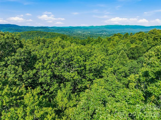 0000 Red Bud Lane 3-F, Laurel Park, NC 28739