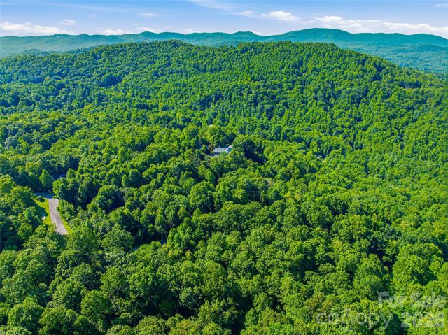 0000 Red Bud Lane 3-F, Laurel Park, NC 28739