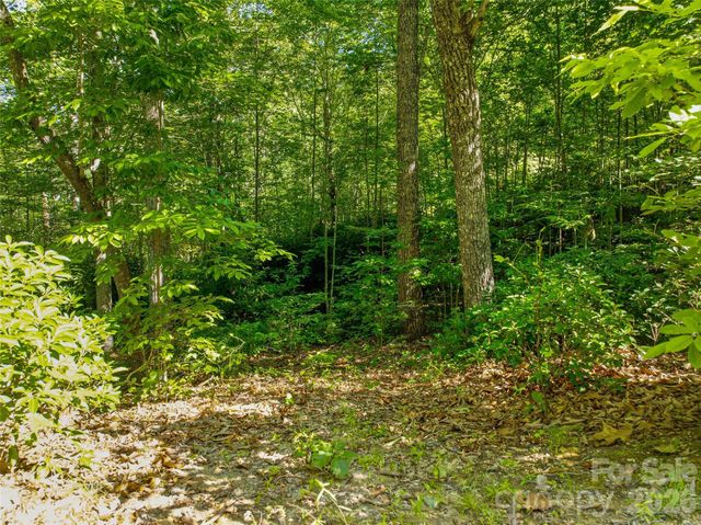 0000 Red Bud Lane 3-F, Laurel Park, NC 28739