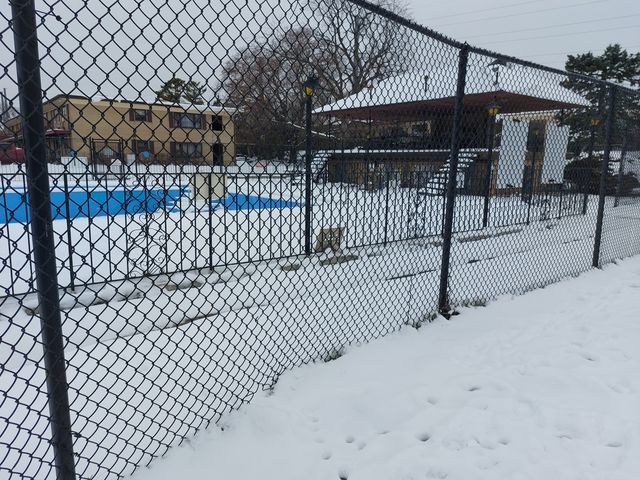 16 King Arthur Court 16, Northlake, IL 60164