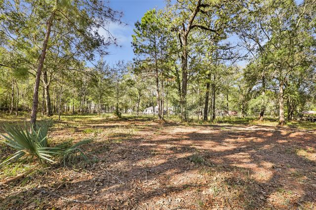 26707 Apache Trail, Magnolia, TX 77354