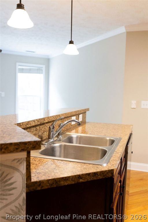 38 Cross Roads Court, Broadway, NC 27505 — photo 11