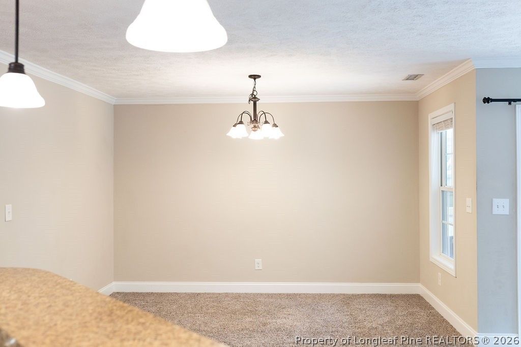 38 Cross Roads Court, Broadway, NC 27505 — photo 17
