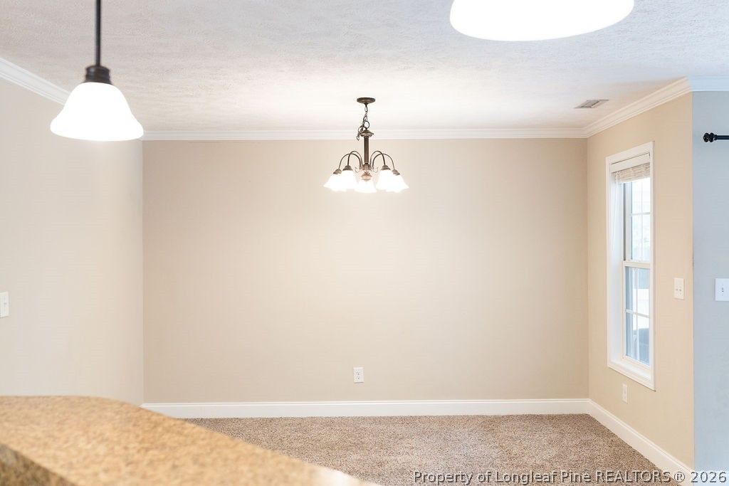 38 Cross Roads Court, Broadway, NC 27505 — photo 18
