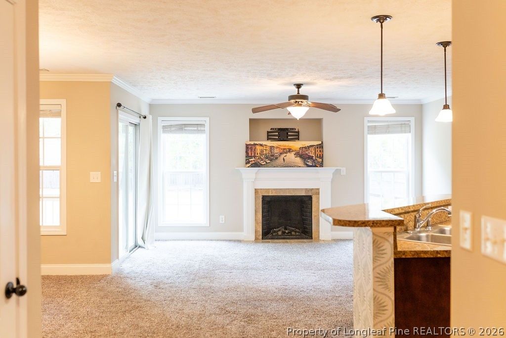38 Cross Roads Court, Broadway, NC 27505 — photo 19