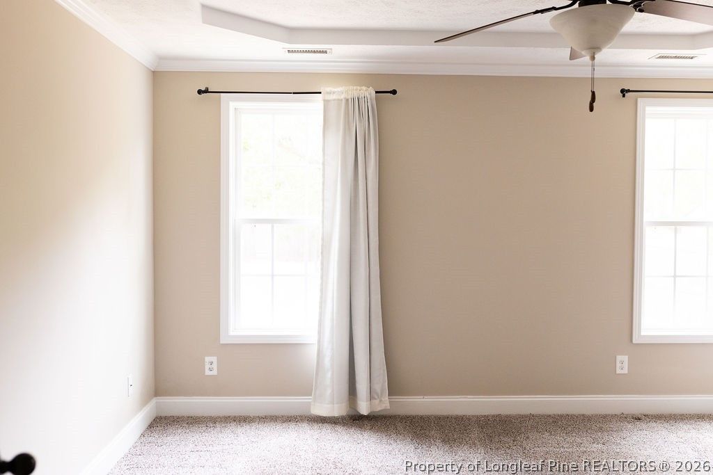 38 Cross Roads Court, Broadway, NC 27505 — photo 24