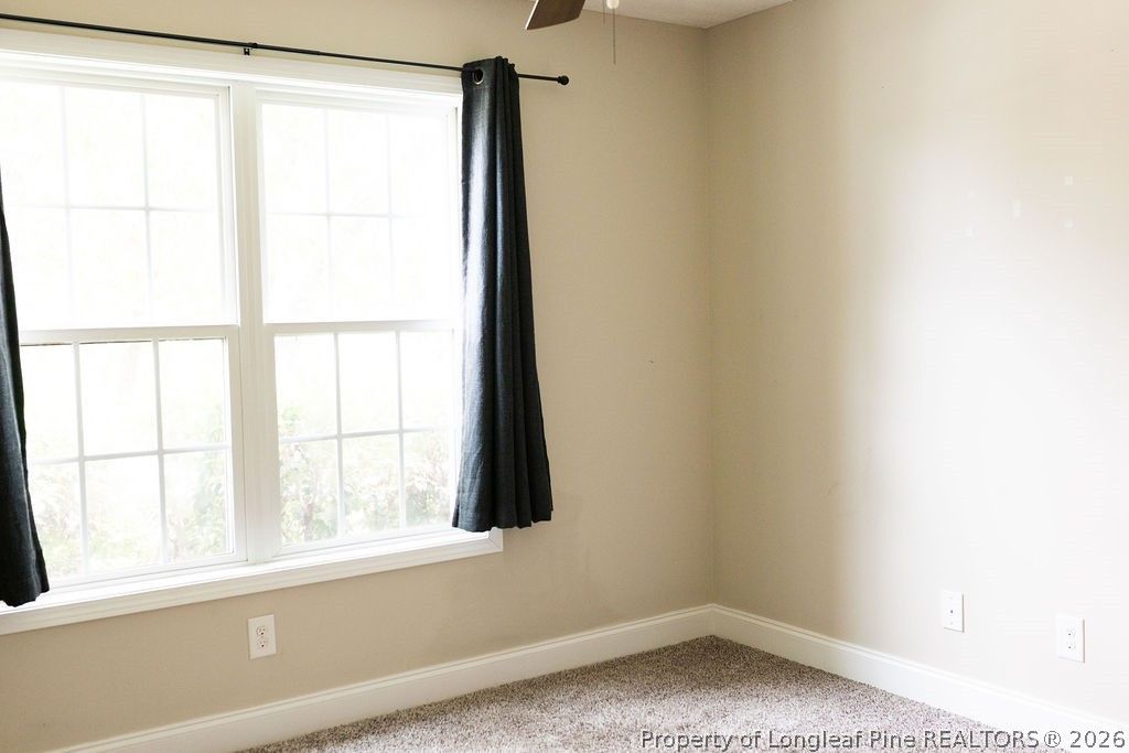 38 Cross Roads Court, Broadway, NC 27505 — photo 34