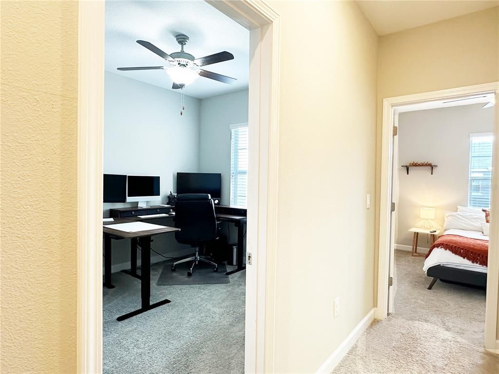Image 31 of property listing at 6642 ROCKY PARK STREET, Tampa, FL 33625
