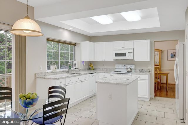 30125 MERCHANT CT, Great Falls, VA 22066