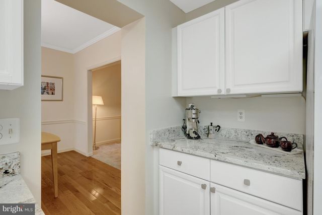 30125 MERCHANT CT, Great Falls, VA 22066