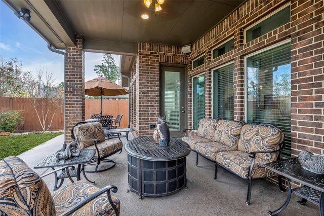 166 Painted Trillium Drive, Conroe, TX 77304