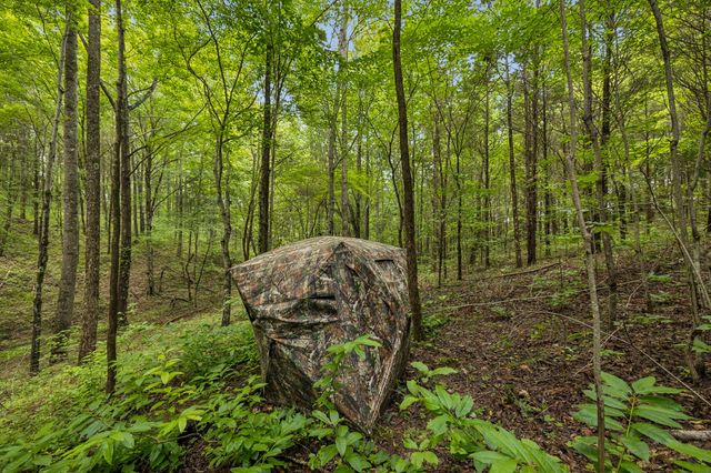 4876 Louise Creek Rd, Cunningham, TN 37052