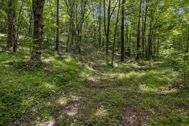 4876 Louise Creek Rd, Cunningham, TN 37052