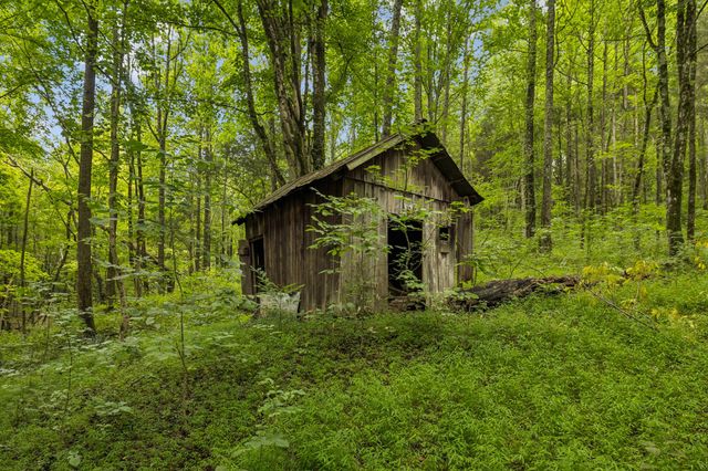 4876 Louise Creek Rd, Cunningham, TN 37052
