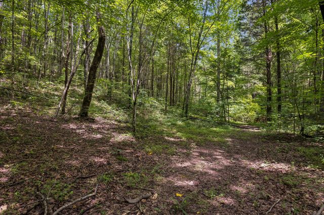 4876 Louise Creek Rd, Cunningham, TN 37052