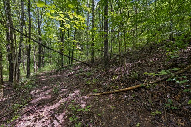 4876 Louise Creek Rd, Cunningham, TN 37052
