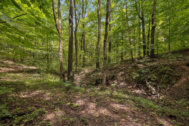 4876 Louise Creek Rd, Cunningham, TN 37052