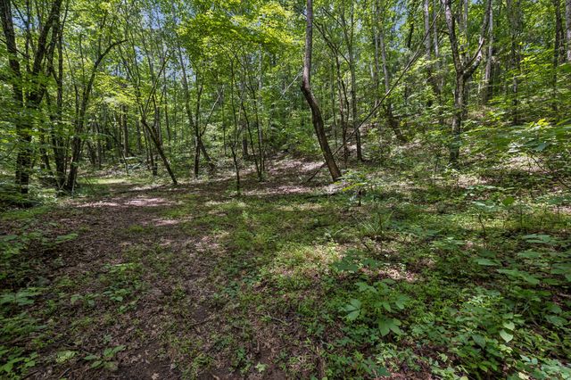 4876 Louise Creek Rd, Cunningham, TN 37052