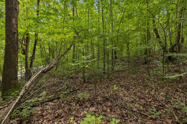 4876 Louise Creek Rd, Cunningham, TN 37052