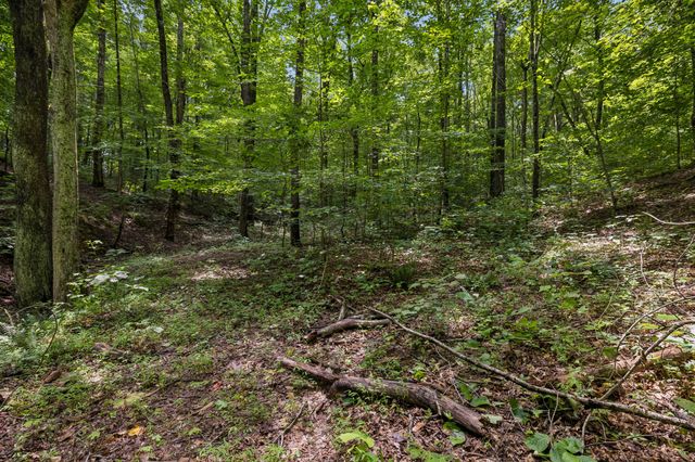 4876 Louise Creek Rd, Cunningham, TN 37052