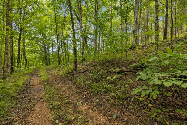 4876 Louise Creek Rd, Cunningham, TN 37052