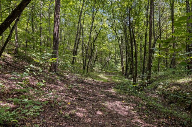 4876 Louise Creek Rd, Cunningham, TN 37052