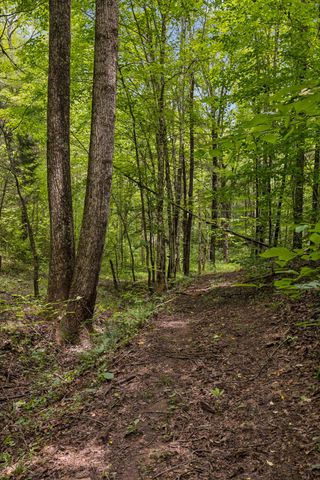 4876 Louise Creek Rd, Cunningham, TN 37052