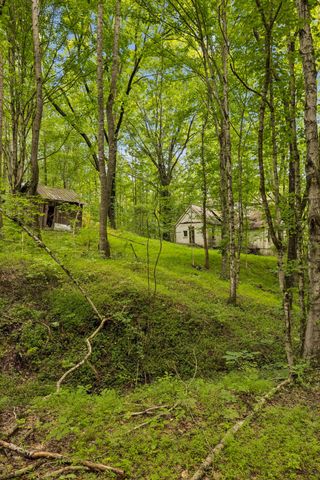 4876 Louise Creek Rd, Cunningham, TN 37052