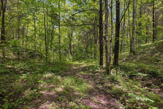 4876 Louise Creek Rd, Cunningham, TN 37052