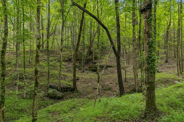 4876 Louise Creek Rd, Cunningham, TN 37052