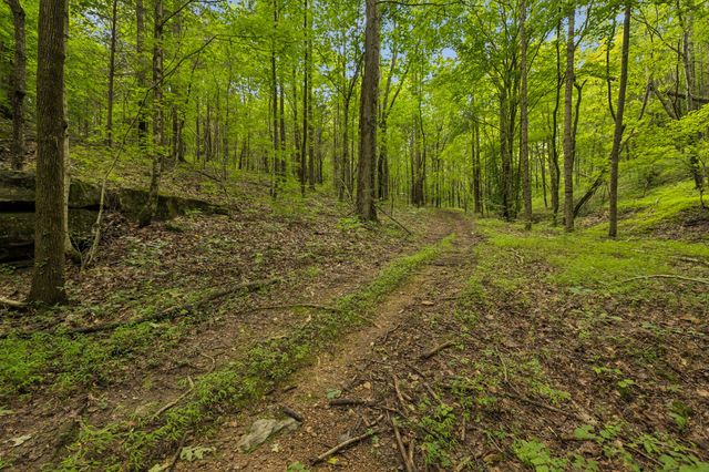 4876 Louise Creek Rd, Cunningham, TN 37052