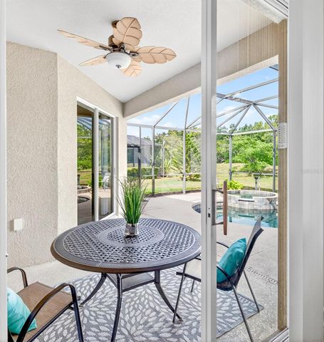 251 RIVER ENCLAVE COURT, Bradenton, FL 34212
