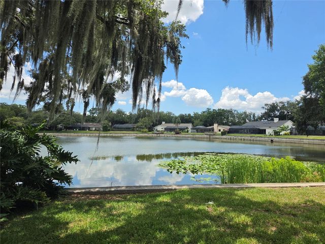 1711 MAGDALENE MANOR DRIVE, Tampa, FL 33613