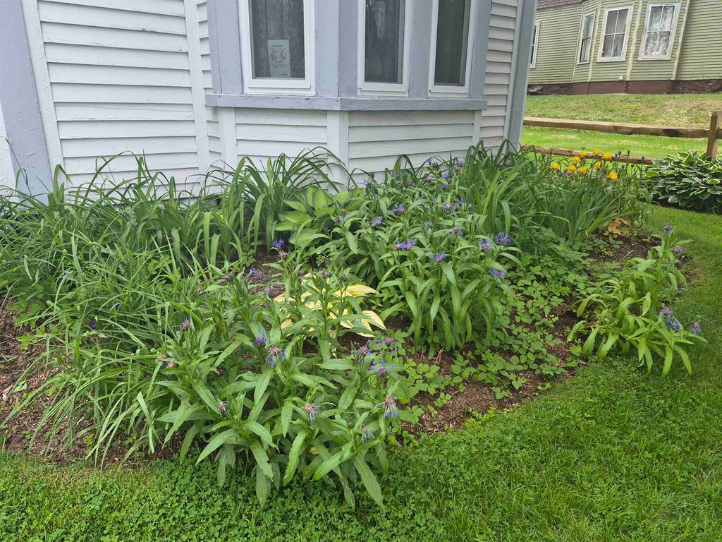 Image 39 of property listing at 48 Middle Street, Lancaster, NH 03584