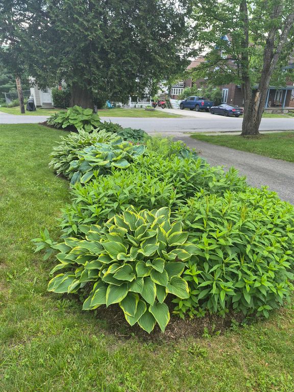 Image 43 of property listing at 48 Middle Street, Lancaster, NH 03584