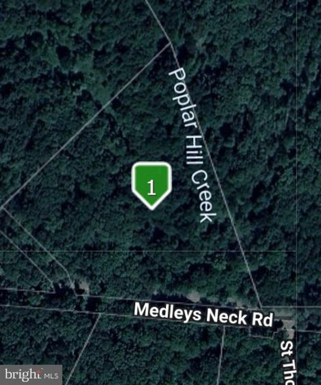 43488 MEDLEYS NECK RD, Leonardtown, MD 20650