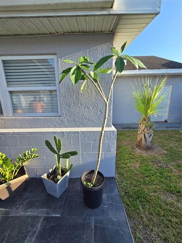 3252 SAN PEDRO LANE, Orlando, FL 32827
