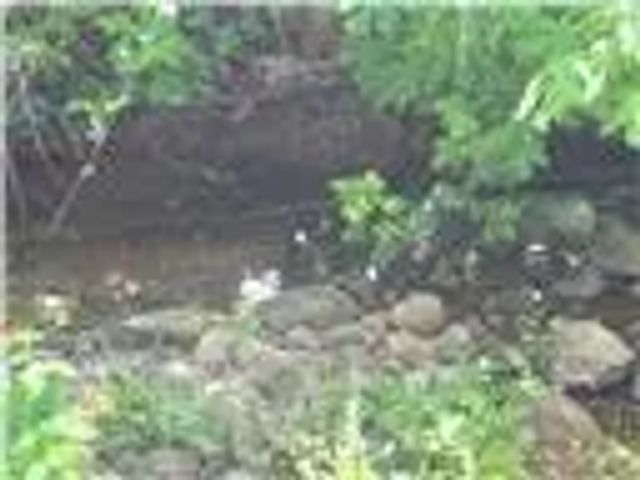 1278 Storybook, Paradise, CA 95969