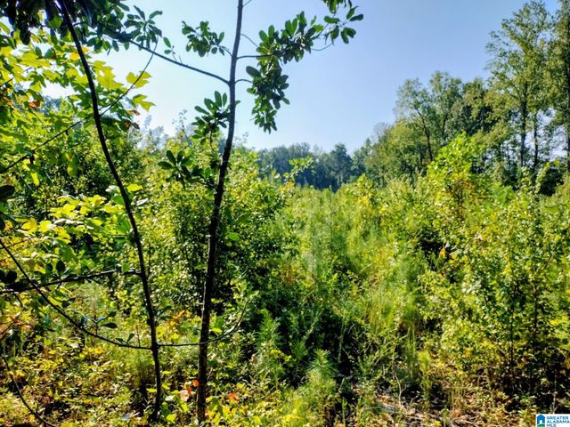 0 FINCHER ROAD, Roanoke, AL 36274